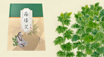 【行業(yè)資訊】國內(nèi)首部艾草專著《南陽艾》，在南陽新書首發(fā)！