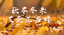【健康/艾灸】秋盡冬來，艾灸正當(dāng)時(shí)——解鎖季節(jié)交替的養(yǎng)生密碼！